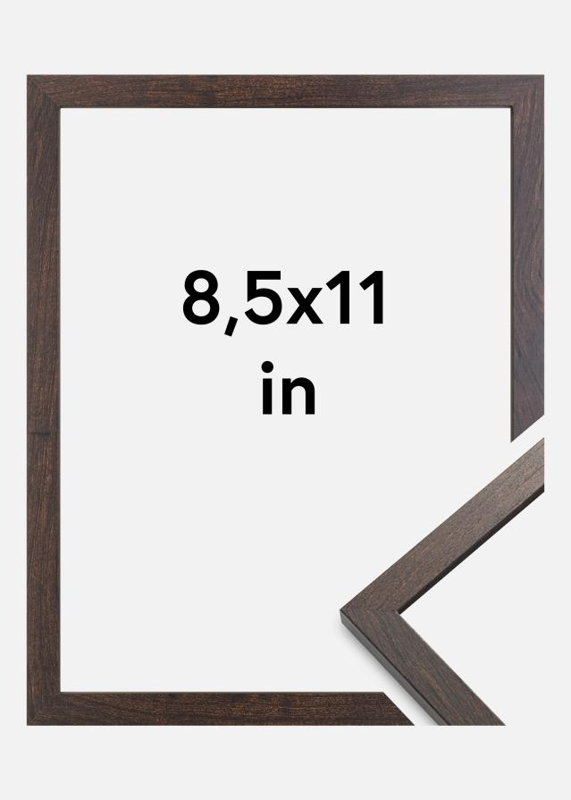 Keret Trendy Akrilüveg Dió 8,5x11 inches (21,59x27,94 cm)