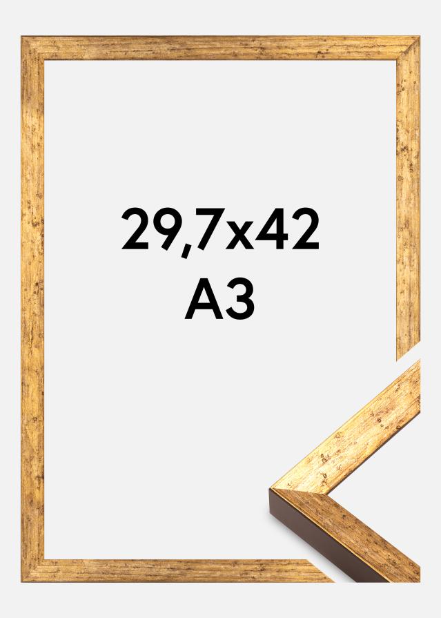 Keret Dune Akrylglas Arany 29,7x42 cm (A3)
