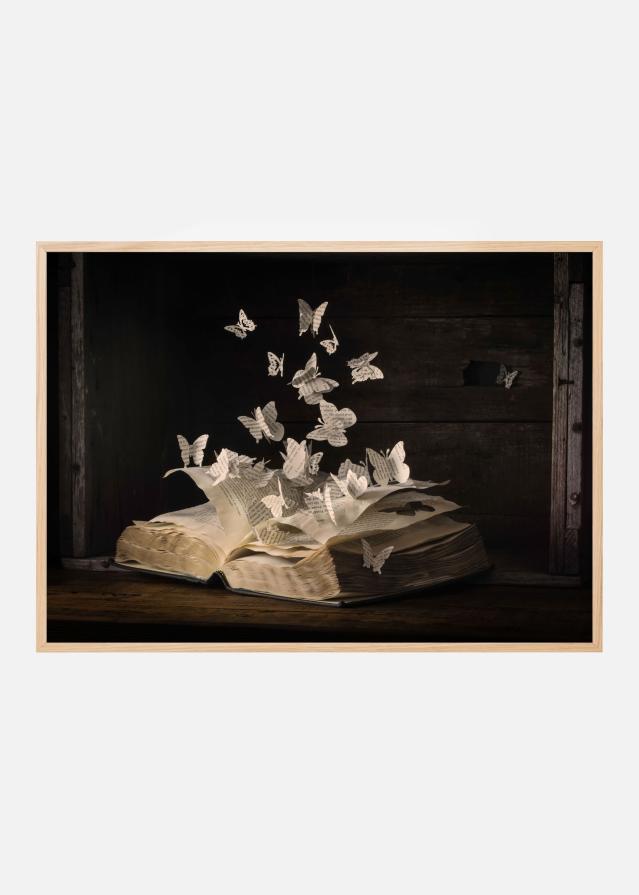 Lepidopterology Poszter