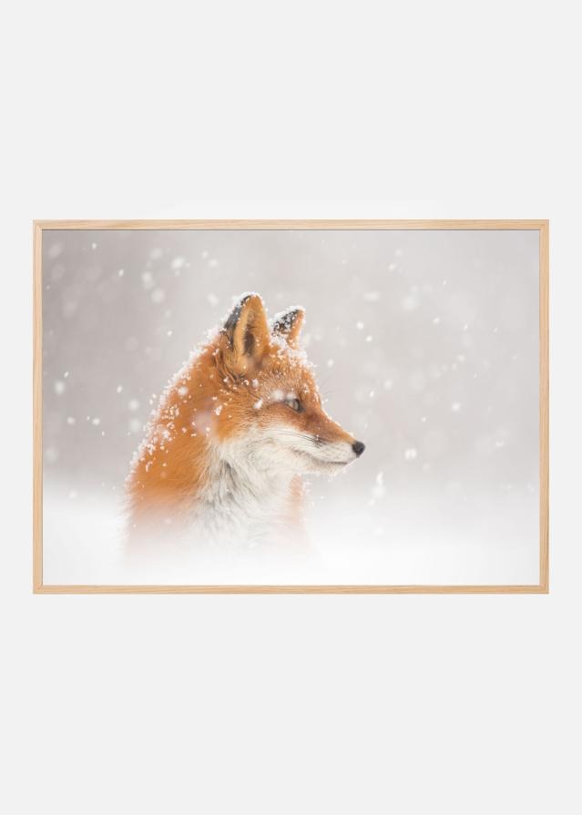 Snow is fallingab Poszter