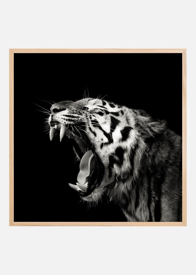 Primal Yawn #4 Poszter