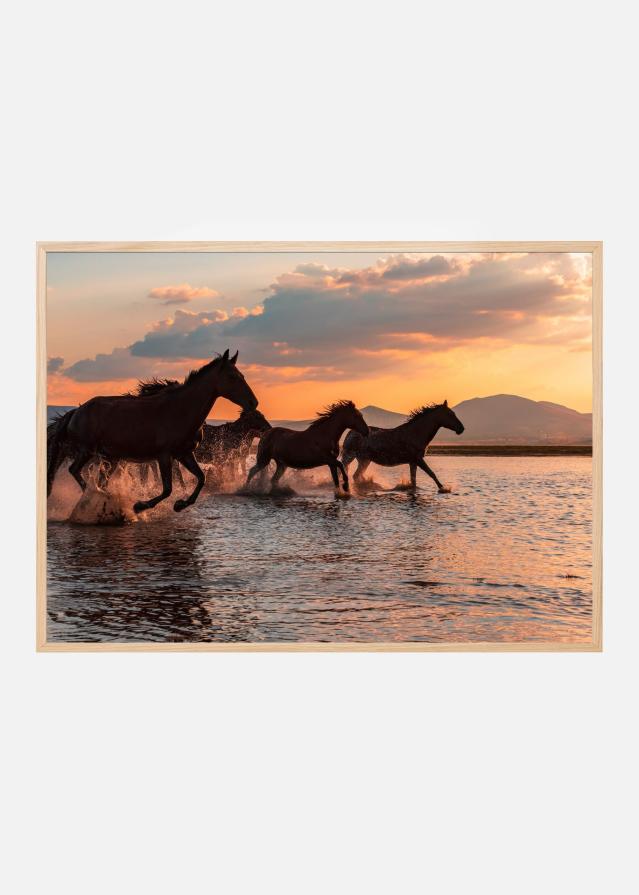 WATER HORSES Poszter