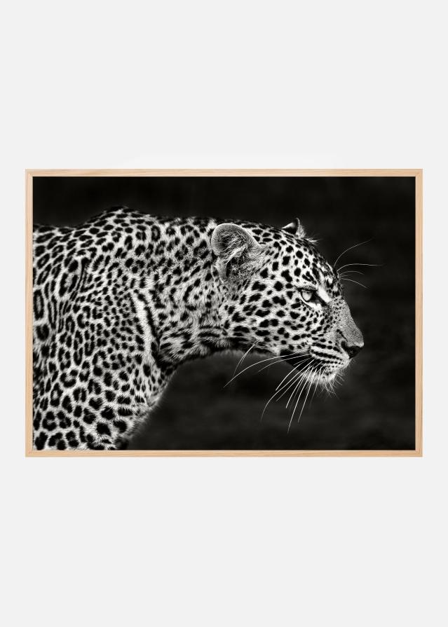 Leopard Close Up Poszter