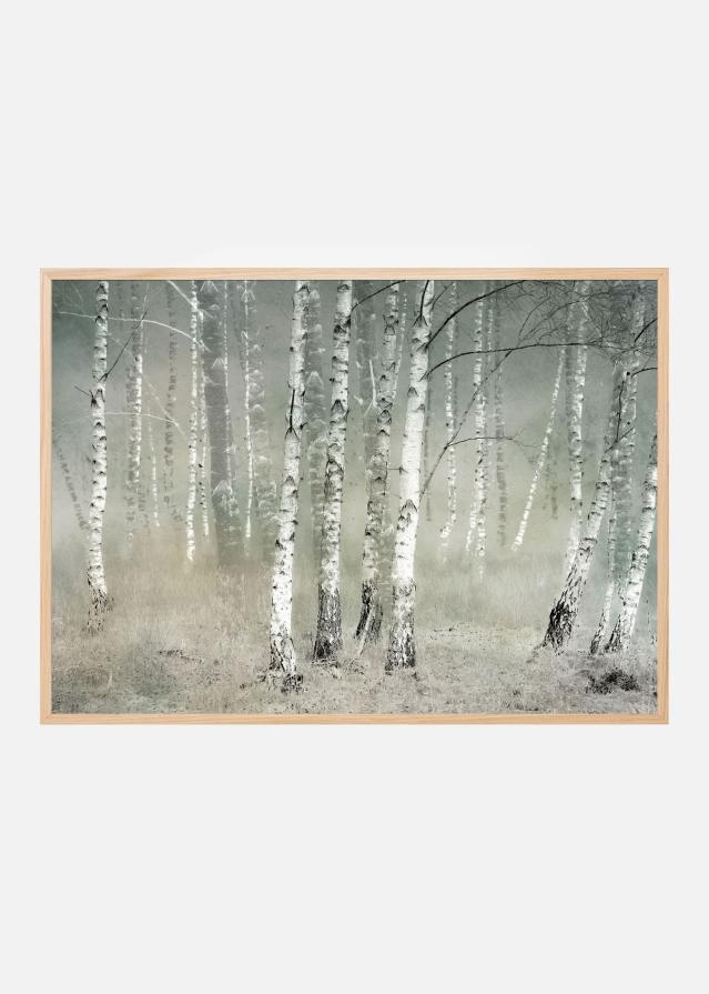 Morning silence Poszter