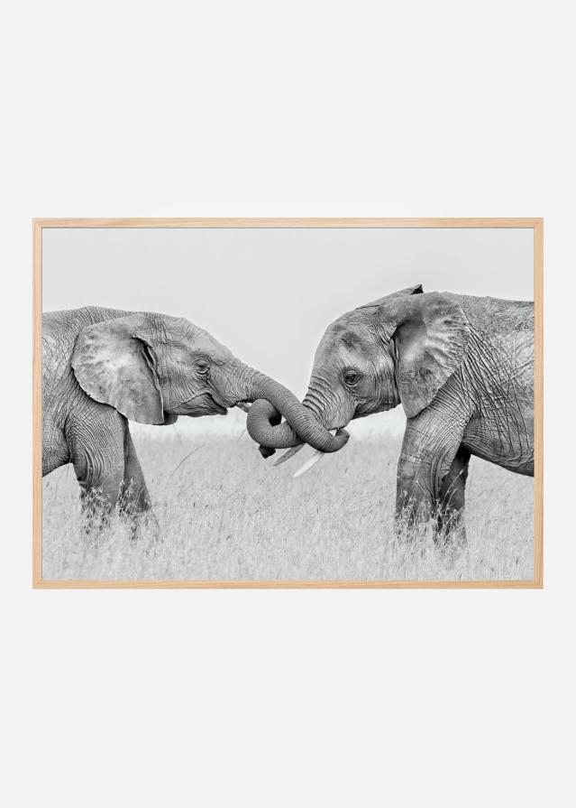 Confrontation Poszter