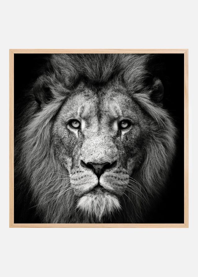 Stare Me Down #3 Poszter