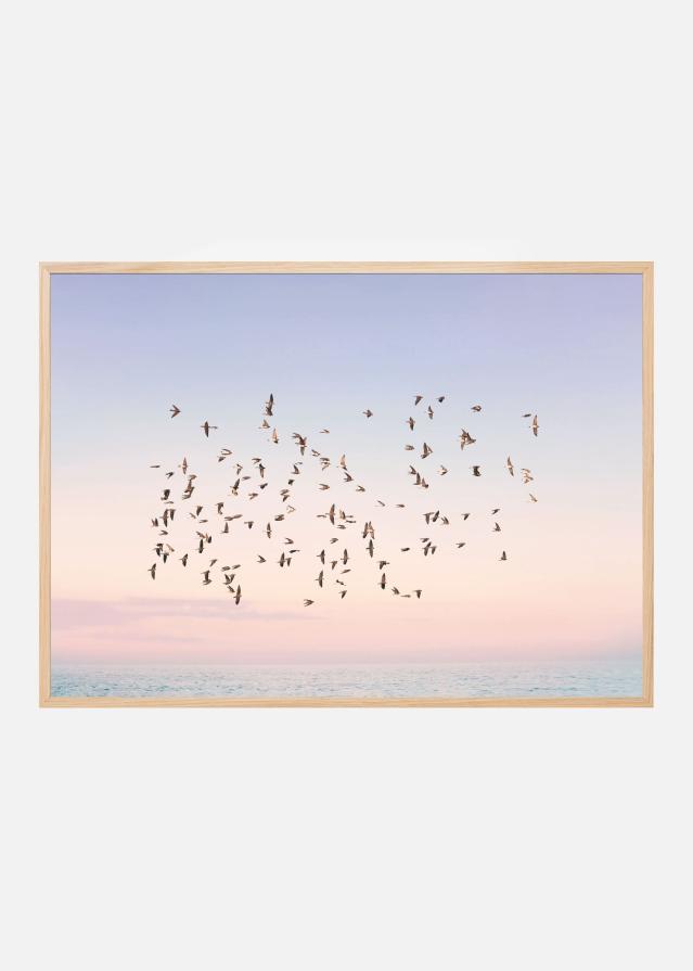 Sunset Flight Poszter