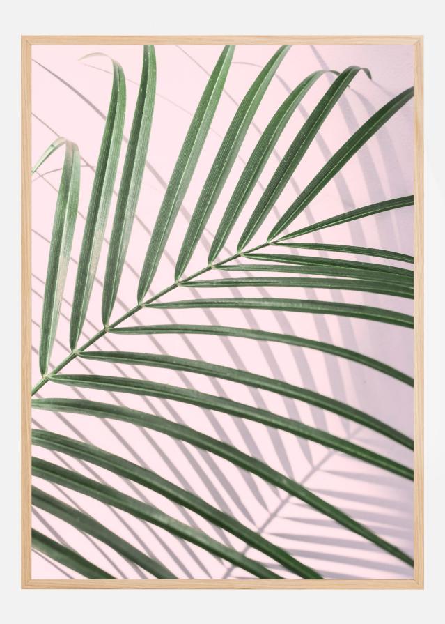 Palm Leaf Shadow Poszter