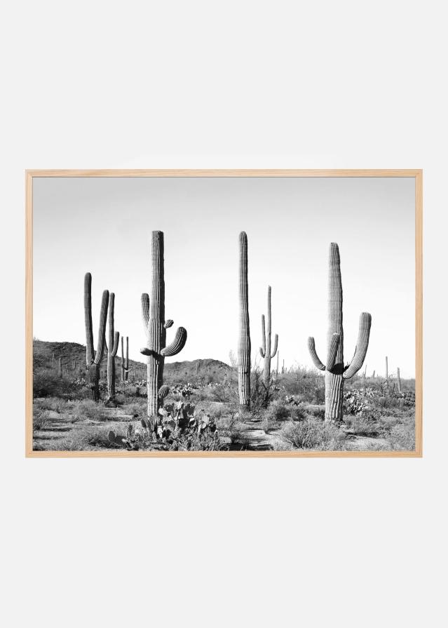 Grey Cactus Land Poszter
