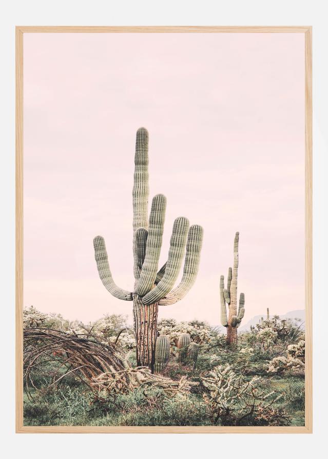 Pink Saguaro Poszter