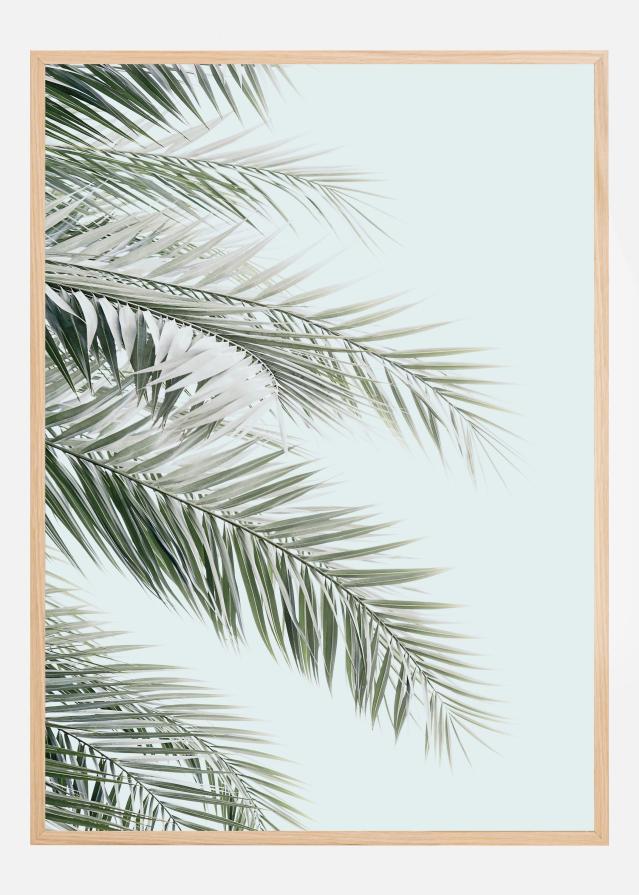 Blue Palms Poszter