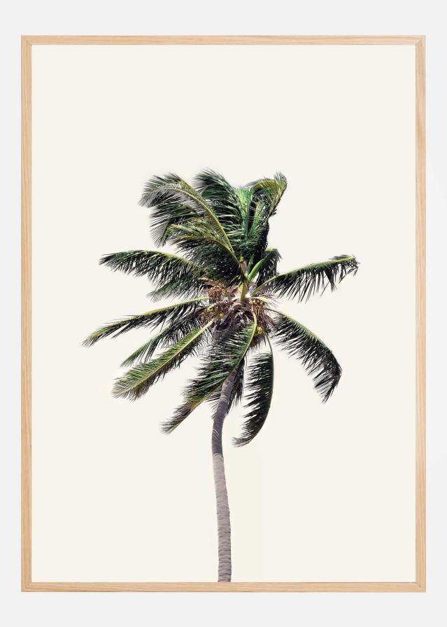 Windy Palm Tree Poszter