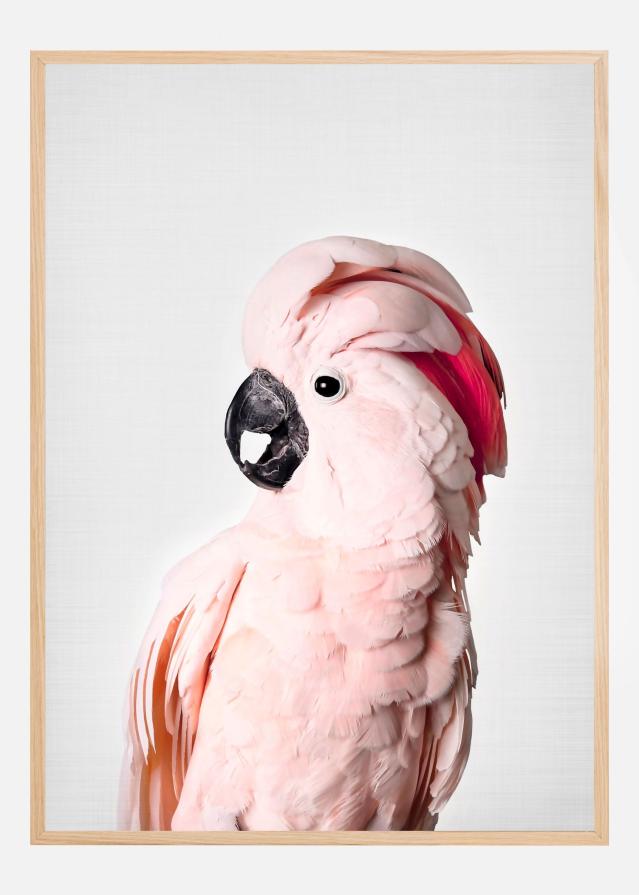 Pink Cockatoo Poszter