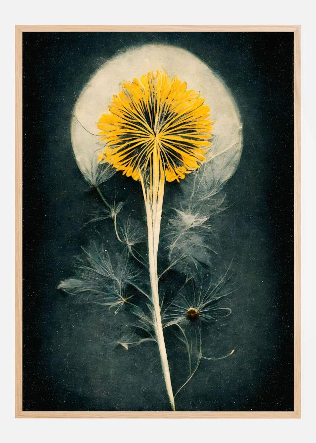 Dandelion Poszter