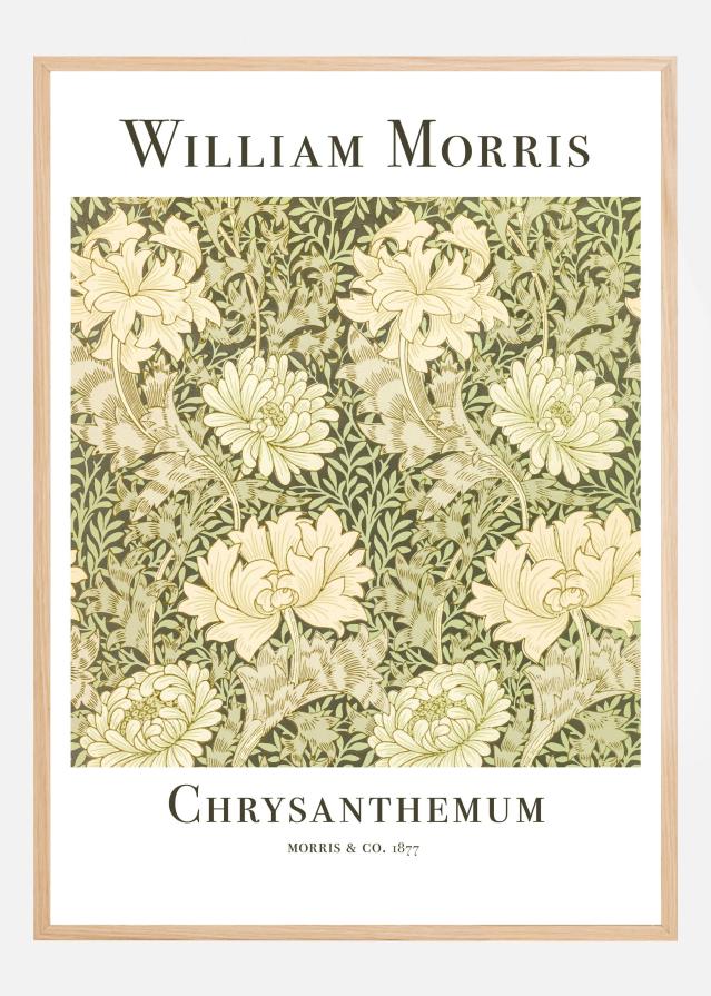 Chrysanthemum Poszter