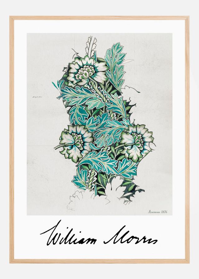 Anemone Poszter