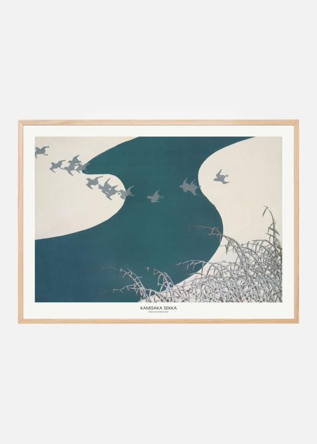 Birds From Momoyogusa Poszter