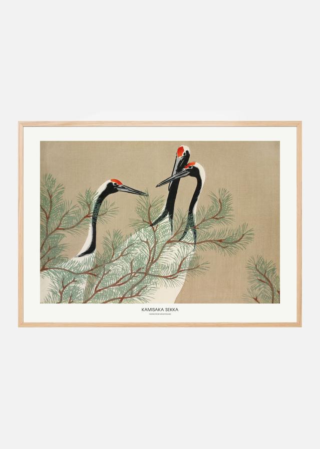 Cranes From Momoyogusa Poszter