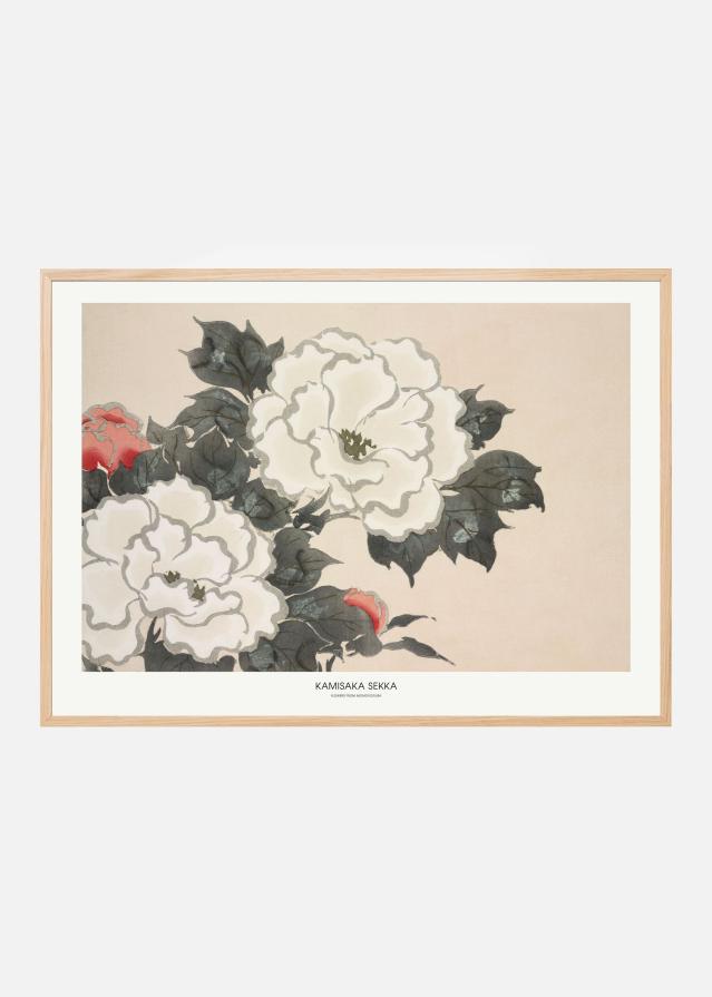 Flowers From Momoyogusa Poszter