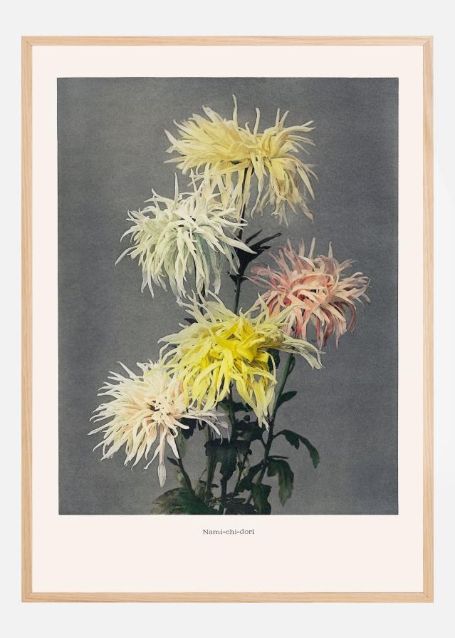 Namiachiadori Poszter