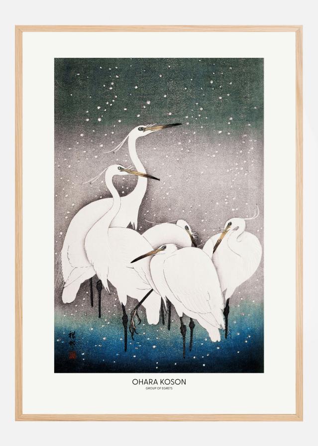 Group Of Egrets Poszter