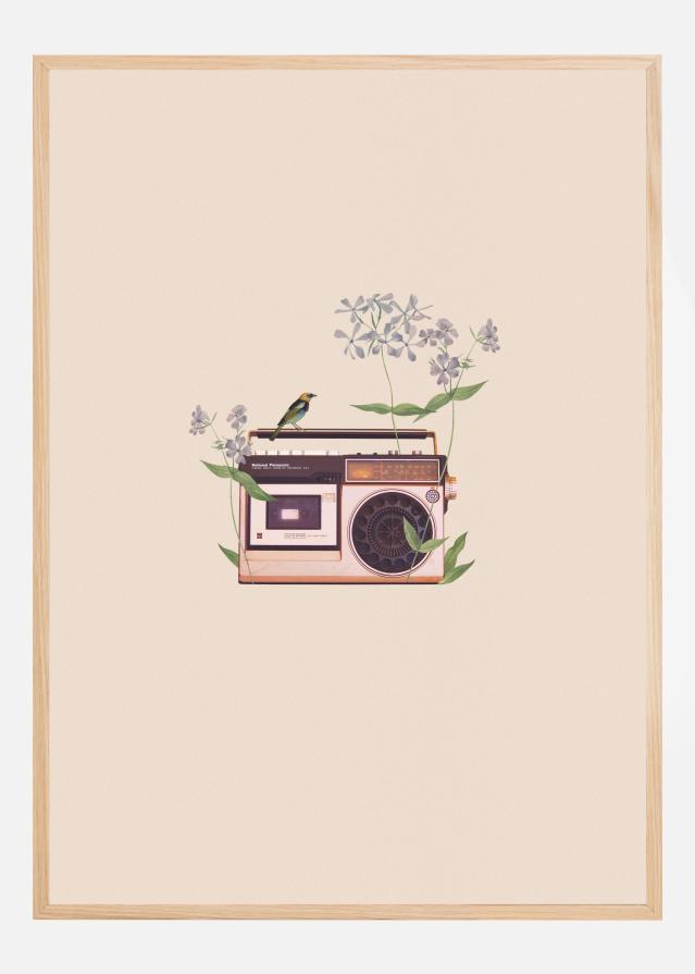 Floral vintage radio Poszter