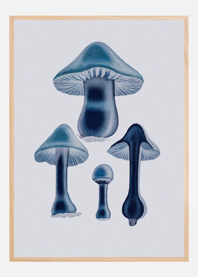 Agaricus Bulbosus - Blue Poszter