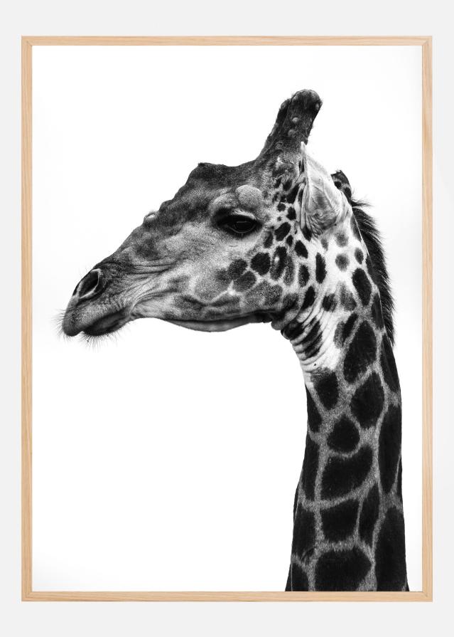 Super Safari No1 Poszter