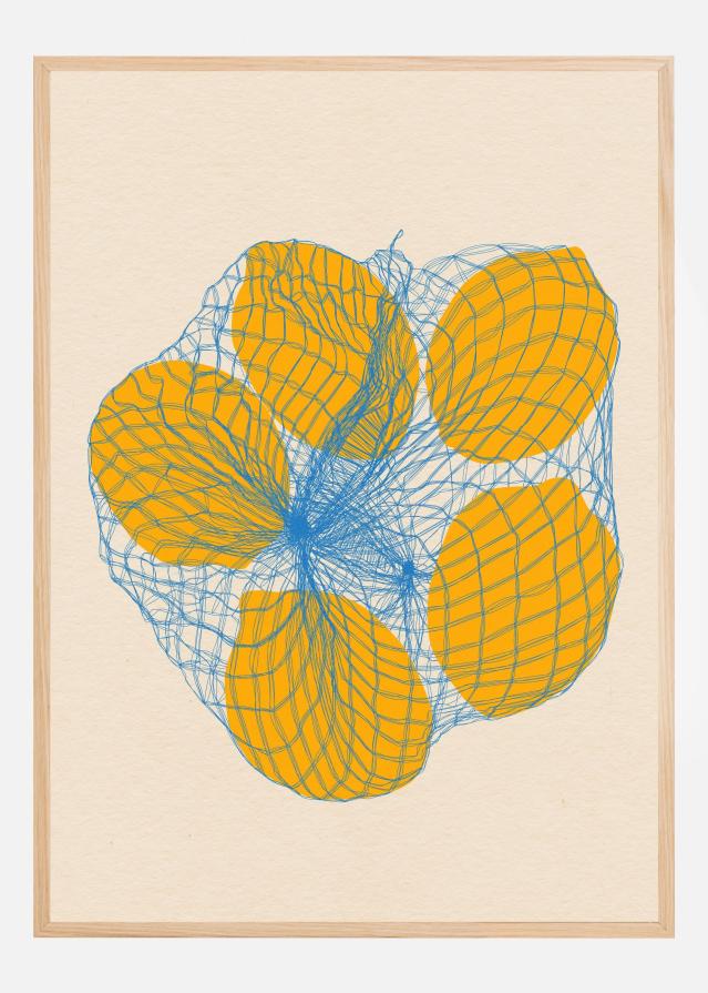 Five Lemons In a Net Bag Poszter