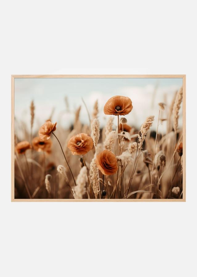 Orange Poppy Field Poszter