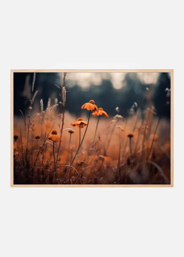 Orange Margarites Poszter