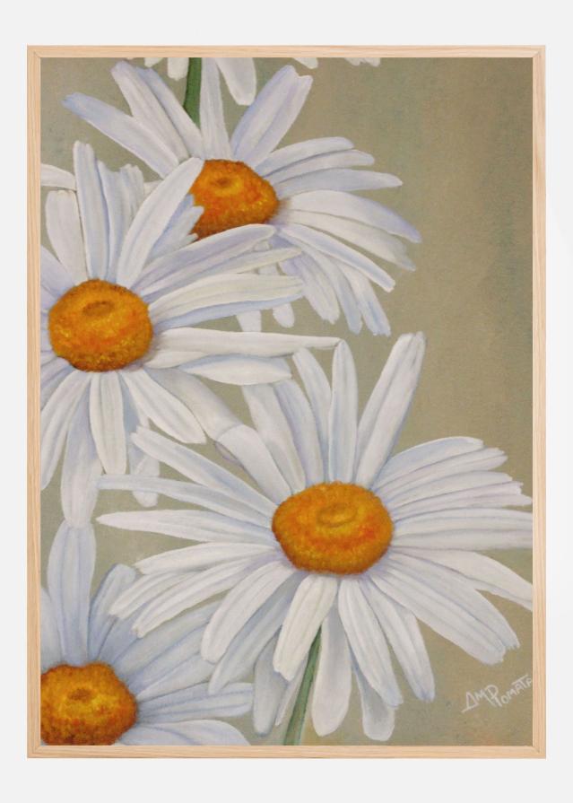 White Daisies Poszter