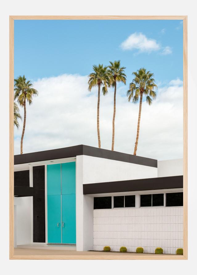 Turquoise Blue Doors on a Modern Home Poszter