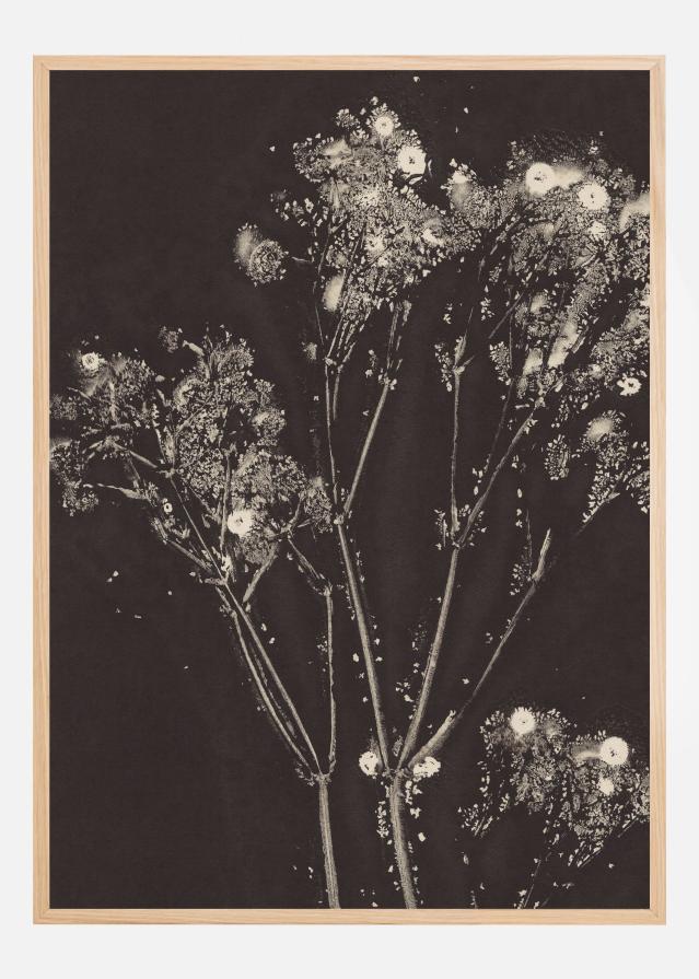 Floral Whispers Poszter