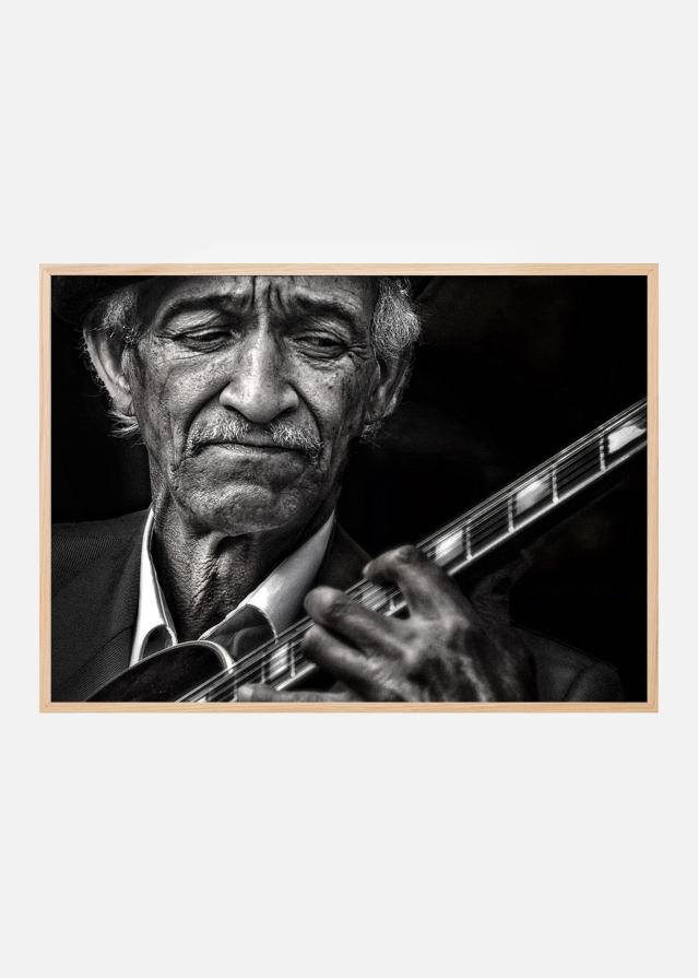 the guitarist Poszter