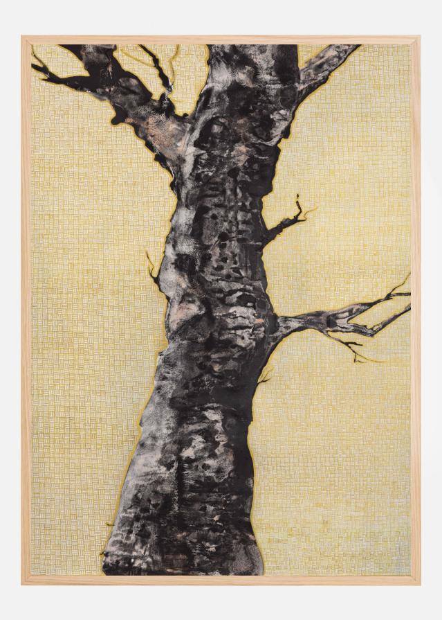 Aurum Naturae I Poszter