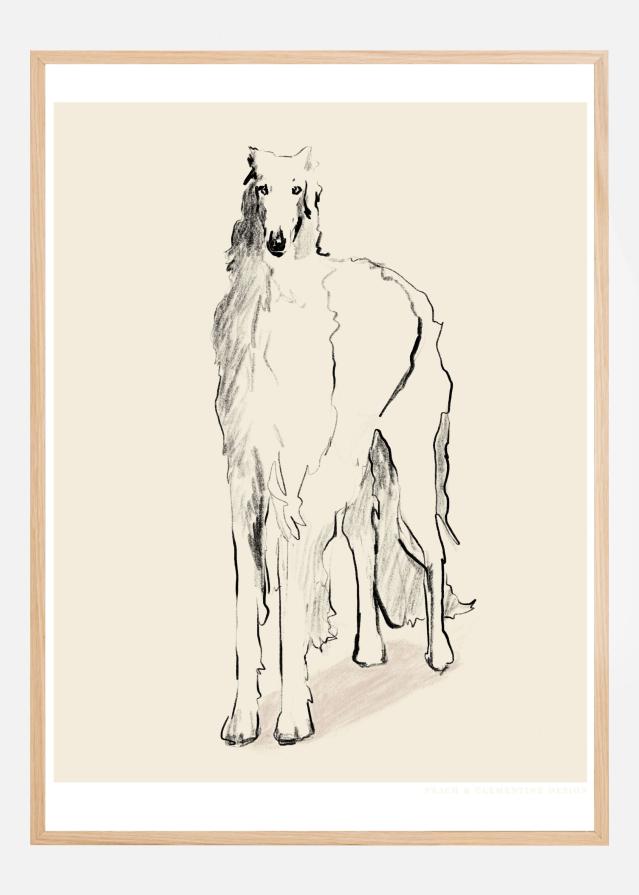 Borzoi Russian Wolfhound Pandc Poszter