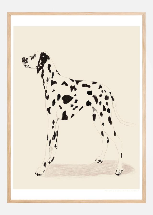 Pandc Dalmation Poszter