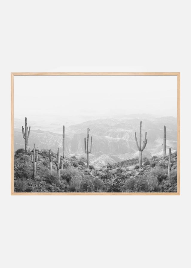 Western Cactus Poszter