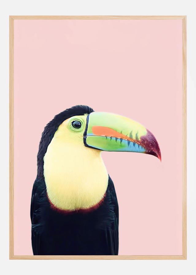 Toucan on Pink Poszter