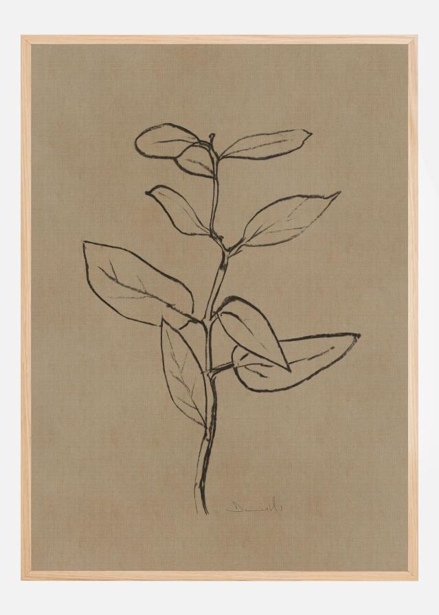 Eucalyptus Sapling Poszter