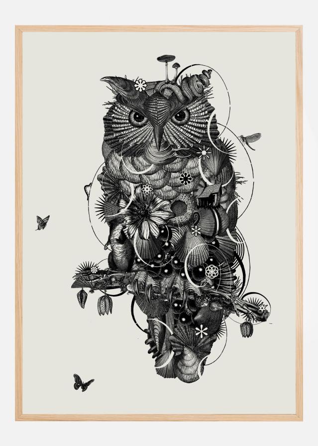 Owl Poszter