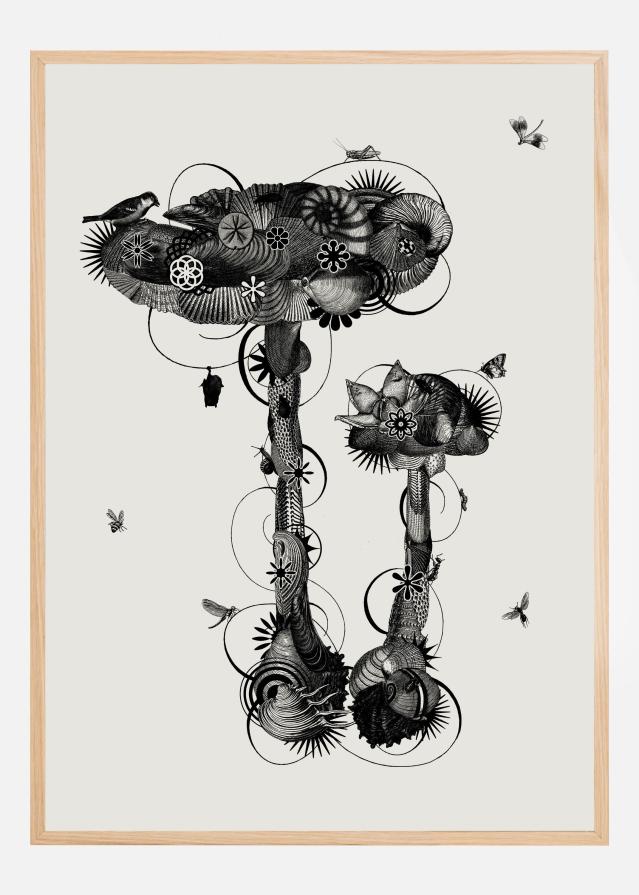 Amanita Mascara Poszter