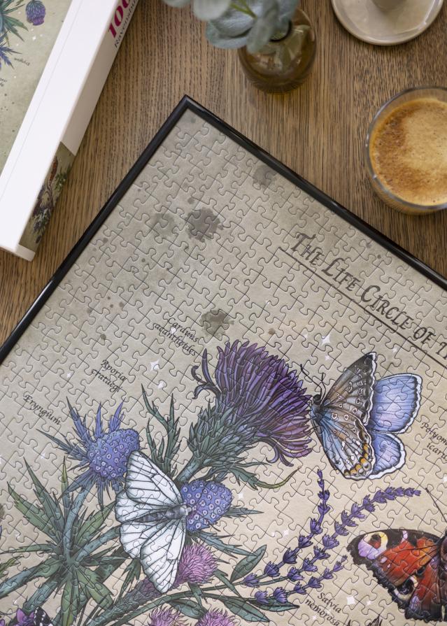 Kirakókeret Fekete 50x50 cm