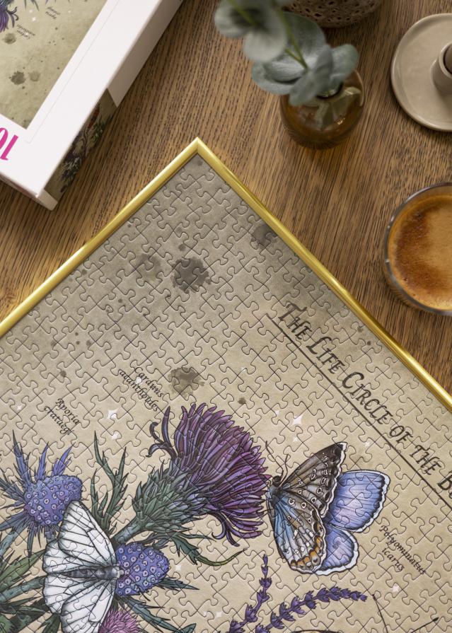 Kirakókeret Arany 50x70 cm