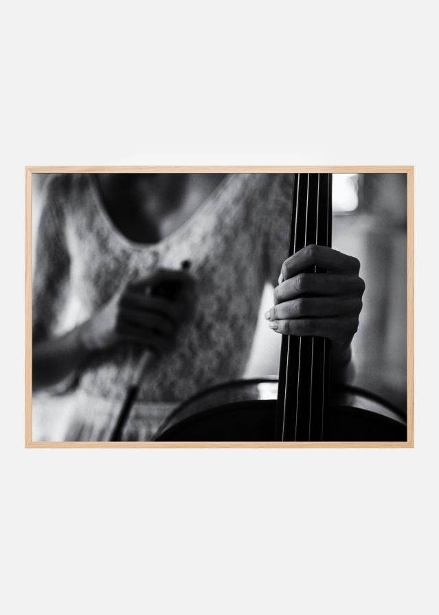 break for the cello Poszter