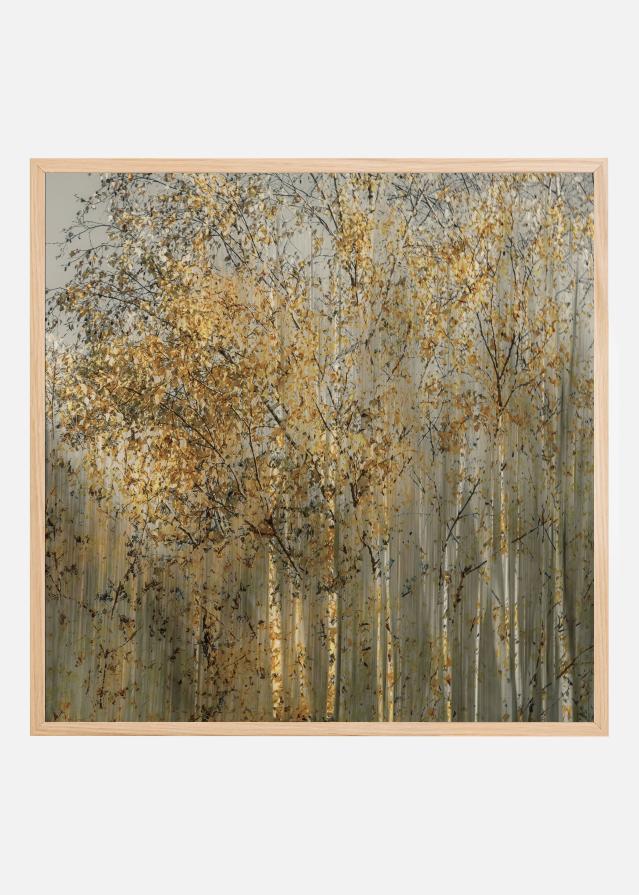 Birch impression Poszter