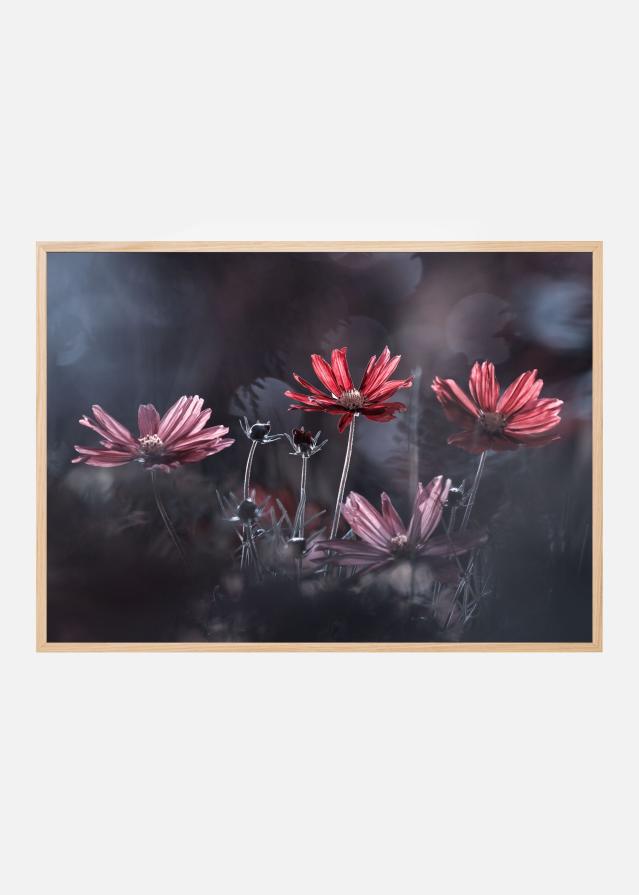 Les fleurs du Bien Poszter