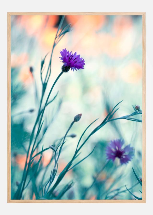 Colors game II Poszter