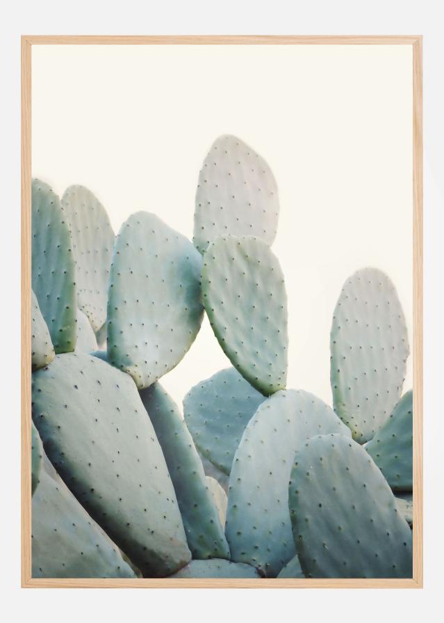 Pastel Cacti Poszter